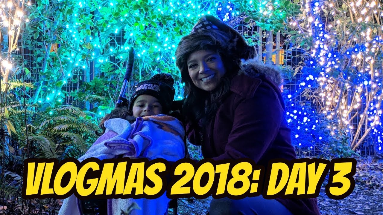 hardwareswap Vlogmas Day 3
