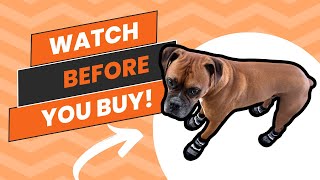 Review of these Anti Slip Dog Socks Net Worth