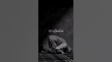 ان الحسنات يذهبن السيئات || تلاوة حجازية 🤍 ."
