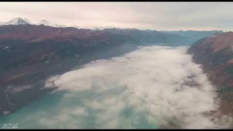 سورة الشعراء 123-140 بصوت الشيخ محمود المبيض