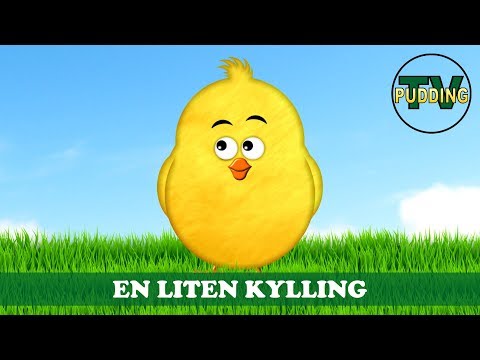 Video: Hva er den beste måten å beskytte et egg i en eggedråpe?