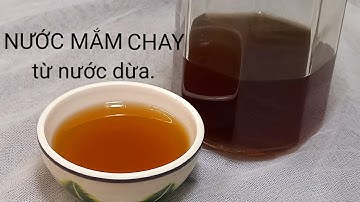Cách làm: NƯỚC MẮM CHAY TỪ NƯỚC DỪA rất đơn giản|| Thiện family