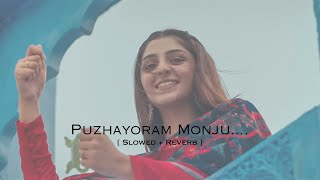 puzhayoram monju | monjathi song | qualb | sajid yahiya