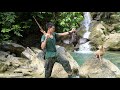 wild boar sound in nature, wild boar tracks, wild duck hunting in nature, green forest life