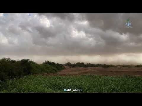 زيفة لحن قديم مميز 