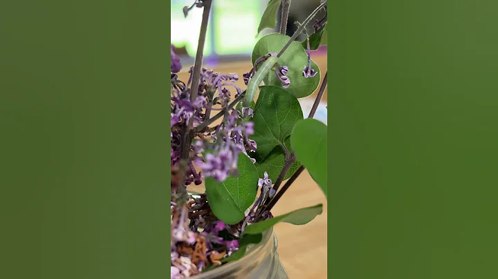 #flower #flowers #caterpillar #insect #moth #butterfly #shorts - DayDayNews
