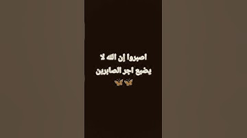 #القرآن_الكريم#راحة_نفسية#تلاوة_نادرة_لاول_مرة#تلاوة_مميزة#تلاوة_مؤثرة #تلاوة_خاشعة#أرح_قلبك