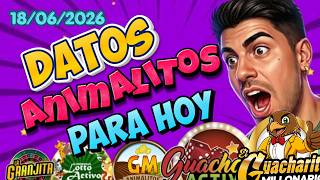 Datos de Lotto Activo Hoy | Pronósticos y Análisis de Animalitos