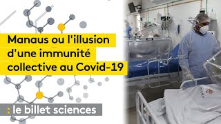 Covid-19 : Manaus ou l'illusion d'une immunité collective
