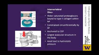 Cervical Disc Arthroplasty - Orhtopaedics &amp; Sports Medicine Grand Rounds - May 2022