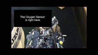 Suzuki DF300 Oxygen Sensor Location