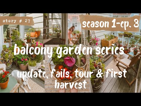 Video: Balkonová zeleninová zahrada – pěstování zeleninové zahrady na balkóně