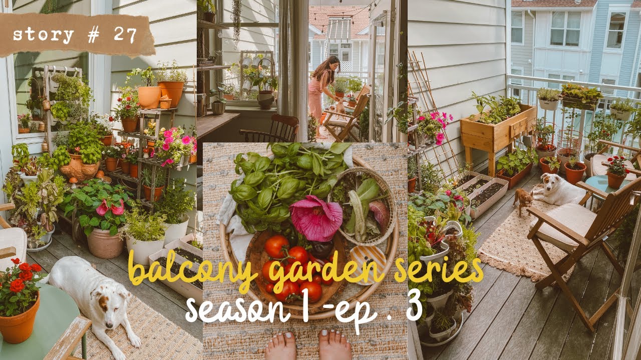 👩🏻‍🌾Vegetable Garden in My SMALL BALCONY | First Harvest, Tour & Fails | CONTAINER GARDEN S1 PART 3