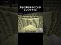 マイクラの驚きに満ちている瞬間