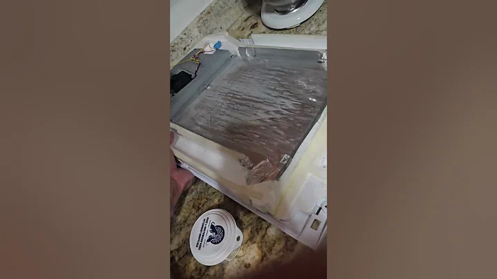 How to permanently Keep Samsung French Door Refrigerator from freezing over