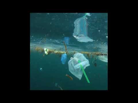 ancaman-sampah-plastik-bagi-ekosistem-laut