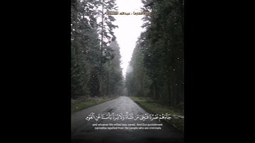 ( حتى إذا استيئس الرسل وظنوا أنهم قد كذبوا جاءهم نصرنا )  تلاوة بديعة للقارئ عبدالله المنسلح