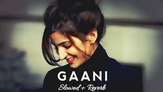 Gaani ( slowed reverd ) Akhil lofi song ❤️ Punjab song ❣️ slowed lofi music #virl