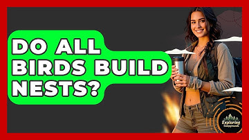 Do All Birds Build Nests? - Exploring Campgrounds