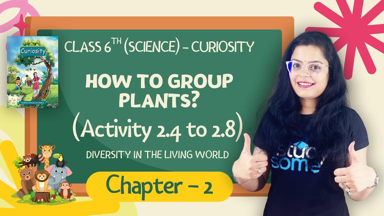 How to Group Plants? | Activities 2.4 to 2.8 | Class 6 Science (Curiosity) Chapter 2  | CBSE 2025-26