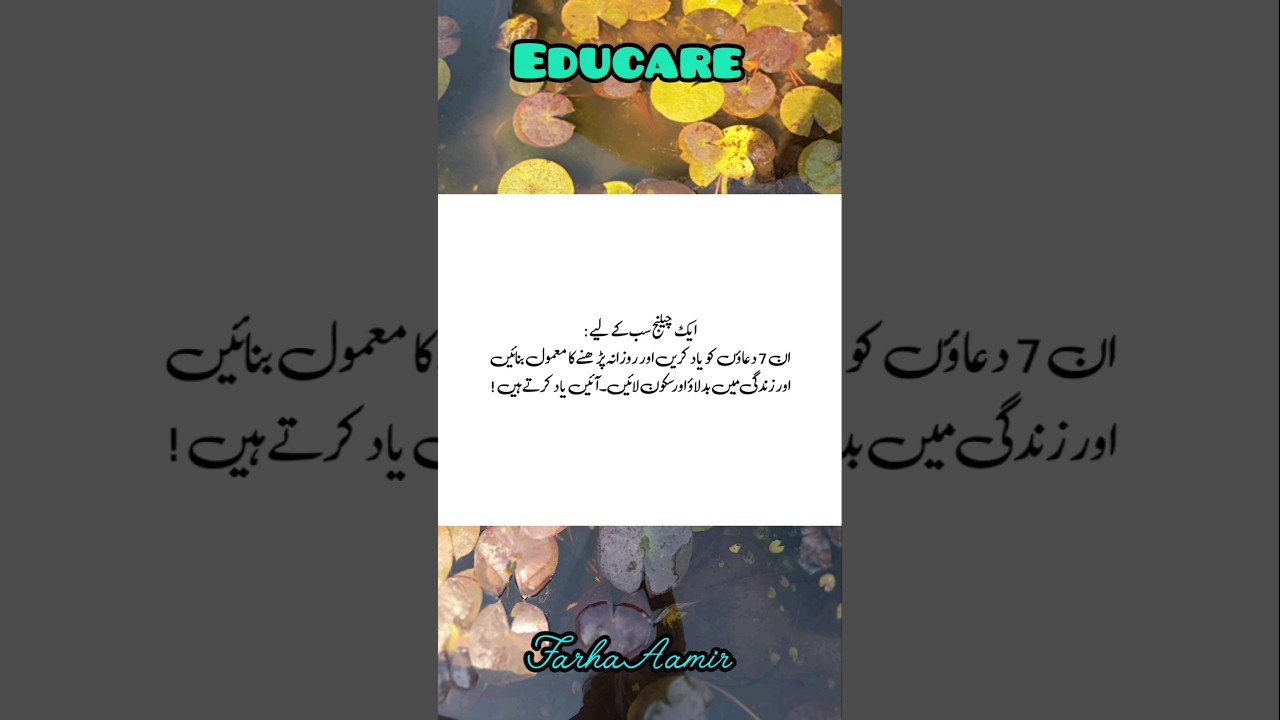 #authenticduas #islamicshort #islamicstatus #islamicdua #powerfuldua #2026dua #duastatus #farhaaamir