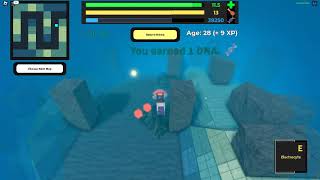 Roblox evolve predatory species: Catfish
