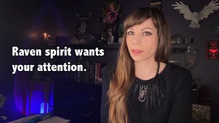 ONE WANTS TO BE SEEN, THE OTHER WANTS TO BE HIDDEN | 33 | RAVEN SPIRIT HAS A MESSAGE FOR YOU