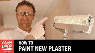 How to Paint New Plaster  a Complete Guide