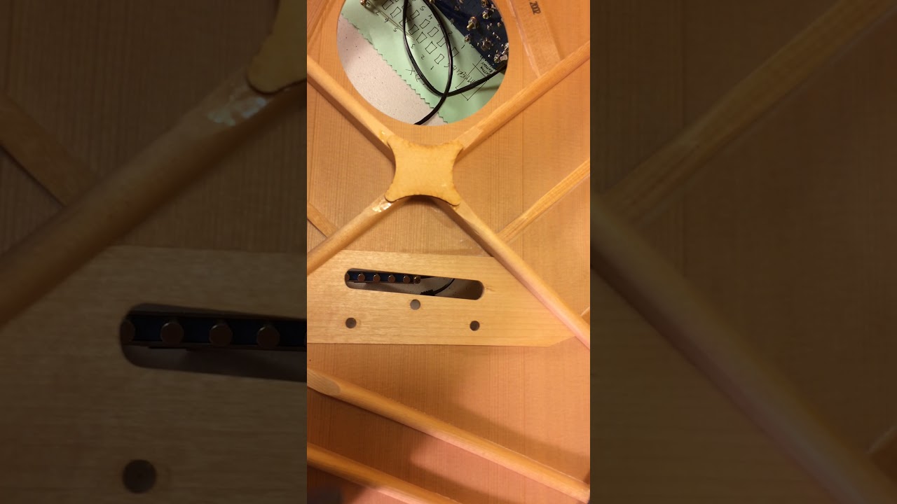 8.16.19  Takamine Palathetic Pickup Hum