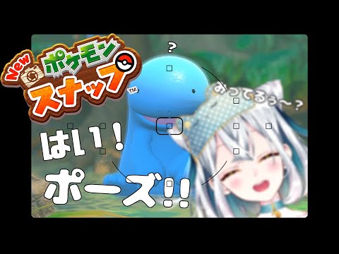 【 ポケモンスナップ 】目線こっちくださーい！はい！ぽーず！【 Vtuber 】