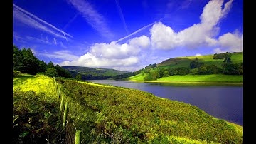 12 principles of Work Ethics