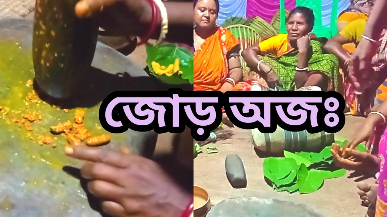 Bapla Vlog ll New santali vlog 2025 ll bengal dishom bahu kuri 