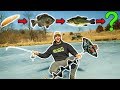 Impossible FOOD CHAIN Fishing Challenge on My BACKYARD POND!!!