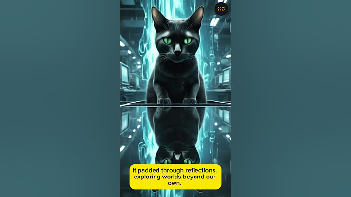 Reflections #hbtraveldotph #fypシ゚viral #cat #catlovers #youtubeshorts #animals #catvideos #viral