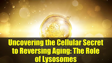 Uncovering the Cellular Secret to Reversing Aging: The Role of Lysosomes
