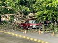 Storm damage in Bessemer - abc3340.com