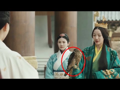 一隻鳥，就預示了美艷妃死亡的結局！| 李氏皇后 Chinese Drama