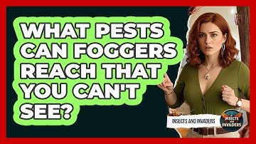 What Pests Can Foggers Reach That You Can