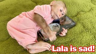 Lala's silent sadness for the old house full of memories!