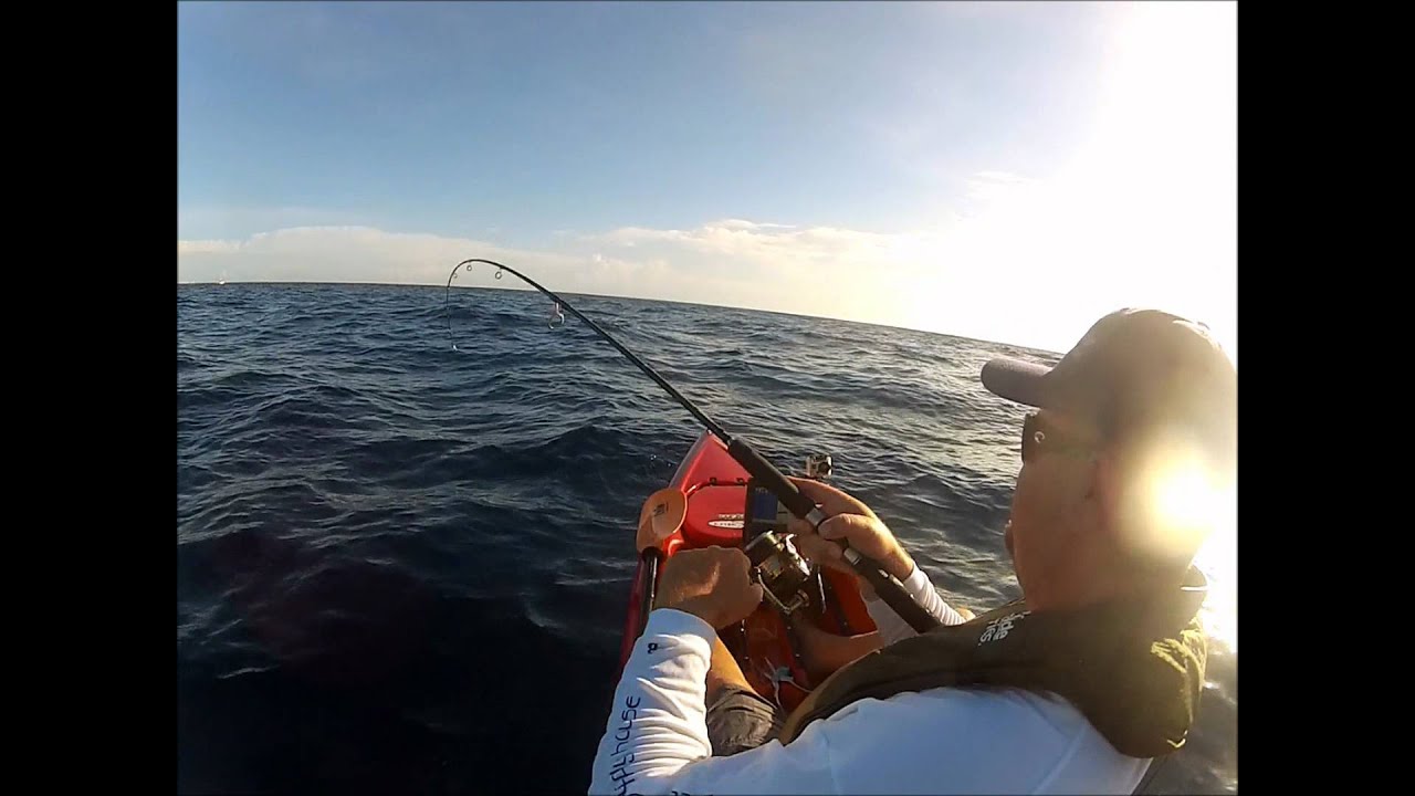 kayak fishing: jigging blackfin tuna - youtube