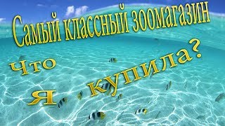 VLOG.Животные в зоомагазине/ Наши Покупки/ VLOG.Животные в зоомагазине/ Наши Покупки/