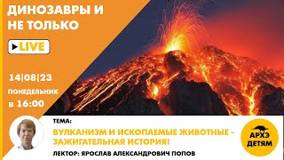 Занятие "Вулканизм и ископаемые животные - зажигательная история!" с Ярославом Поповым