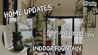 home updates, my air plant collection & setting up an indoor fountain! 😯