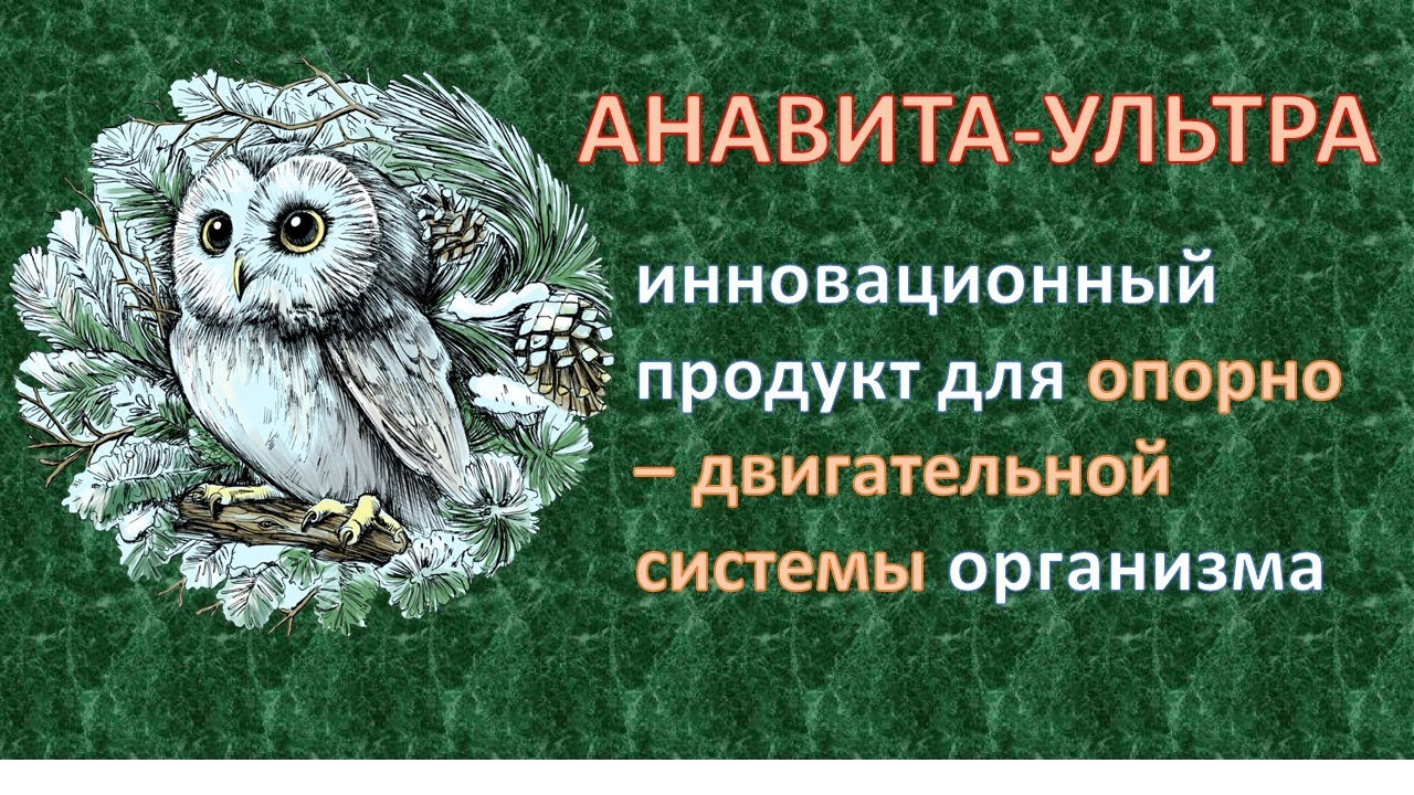 Сова сайт прямой. Силаорг сово Сова. Продукция сово Сова. Сова с продуктами. Презентация компании сово-Сова.