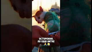 Сеть затягивалась с каждой секундой... То, что сделал этот человек - героизм 😭🙏