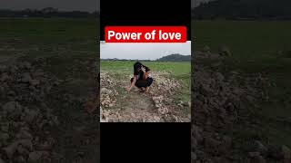 Wait Power Of Love