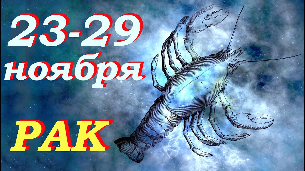 Гороскоп на 23 февраля рак