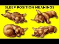 What Your Dog’s Sleeping Position Reveals About Them