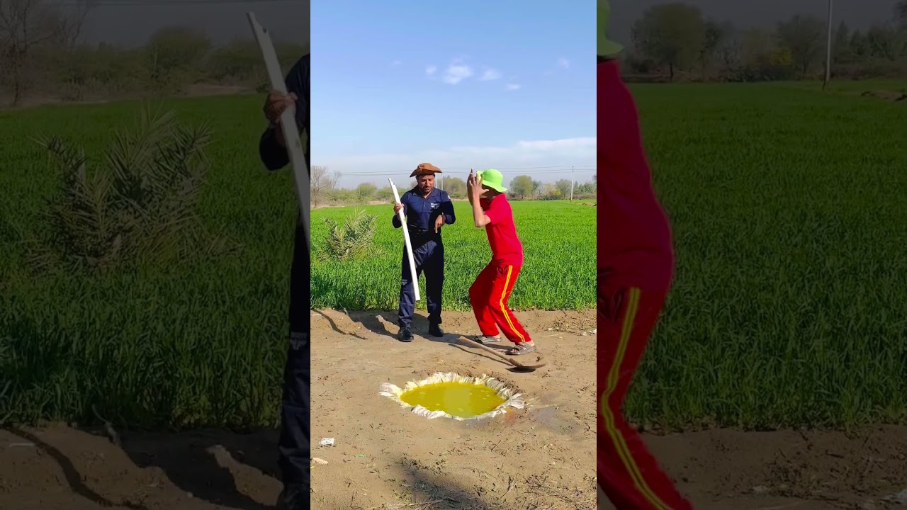 The Hidden King of the Jungle 🧐