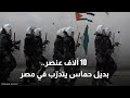قوة أمنية بديلة لحماس مصر ت عد 10 آلاف عنصر لتأمين غزة 
